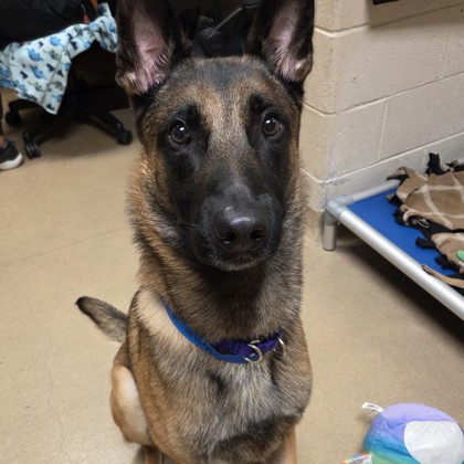 Odin