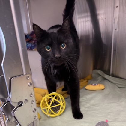 Stan- Petco Lake Geneva!