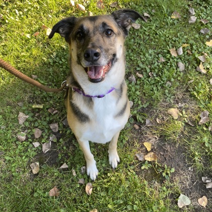 Skye