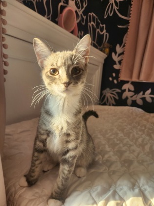 Jasper-Video!
