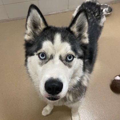 Luna
