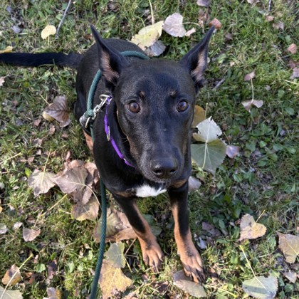 Stover - Benchwarmer!