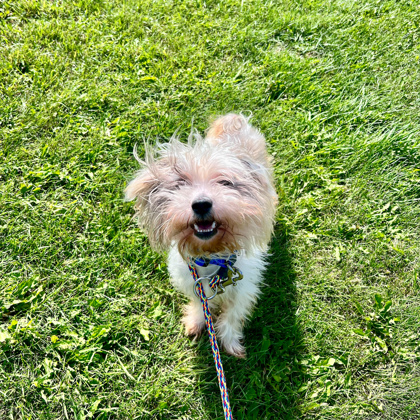 Coco