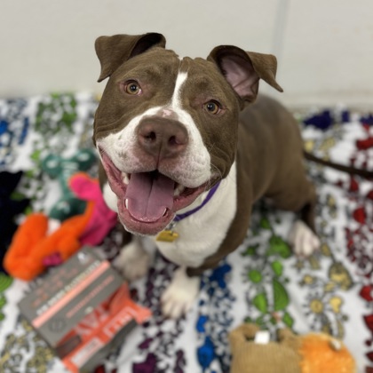 Maverick - Benchwarmer!