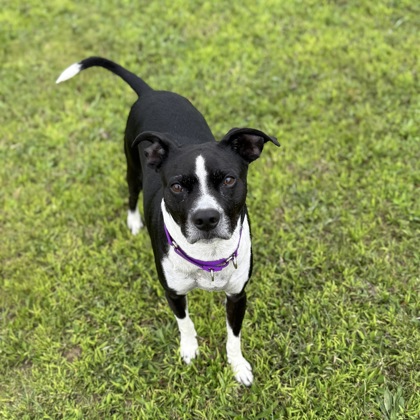 Max