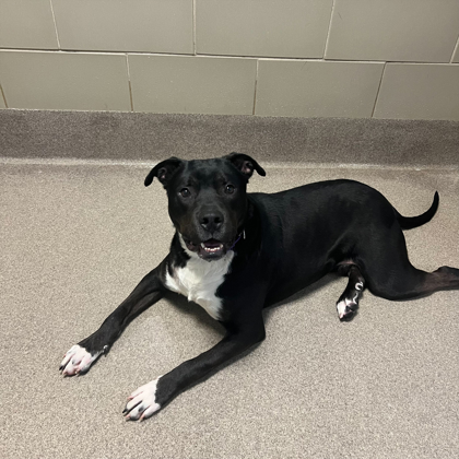 Zonna - Benchwarmer!