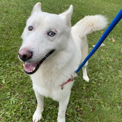 Mexicano - Benchwarmer!