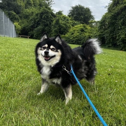 Max