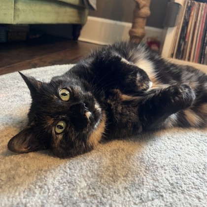 Olivia