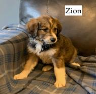 Zion