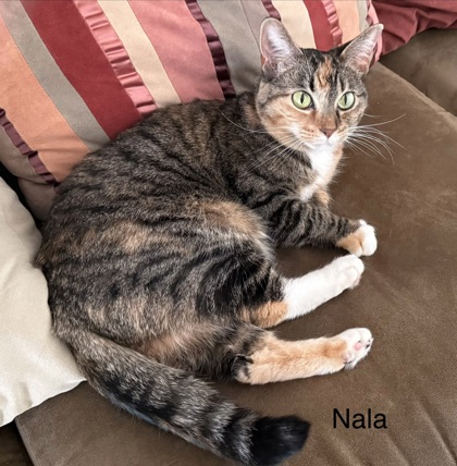 Nala
