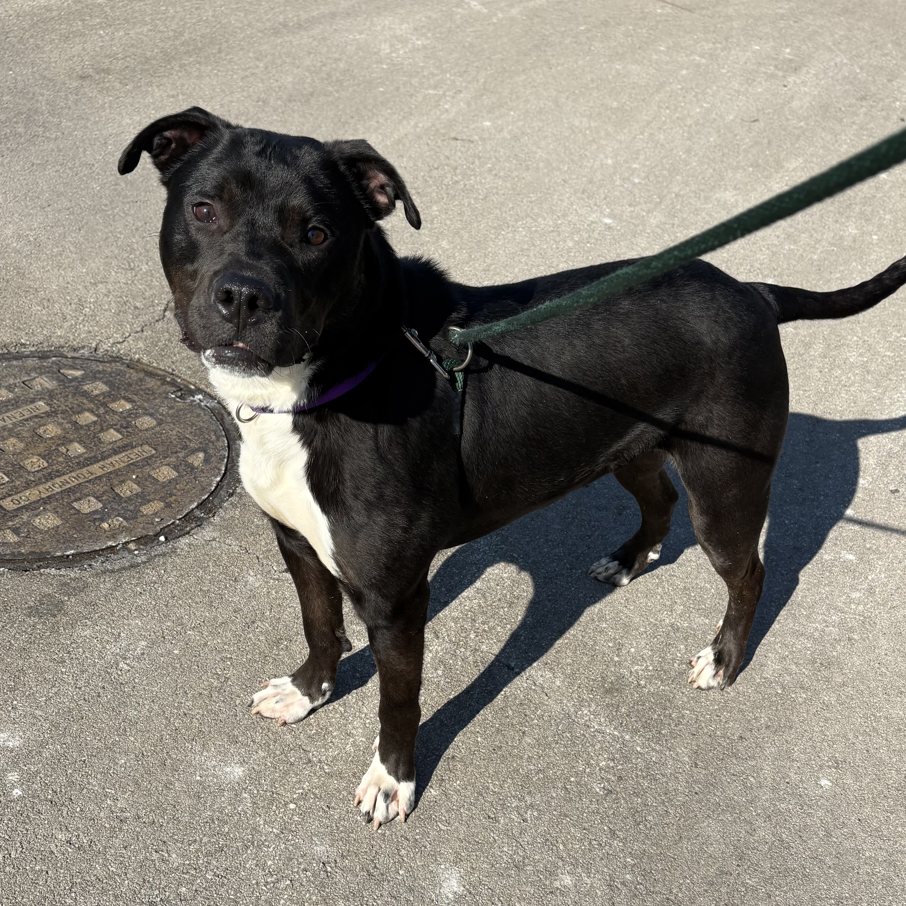 Zonna - Benchwarmer!