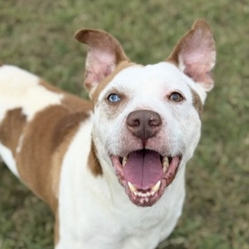 Fregley - Video & Benchwarmer!