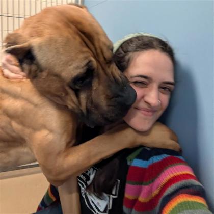 Gangsta - Staff Pick!