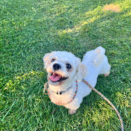 Benny