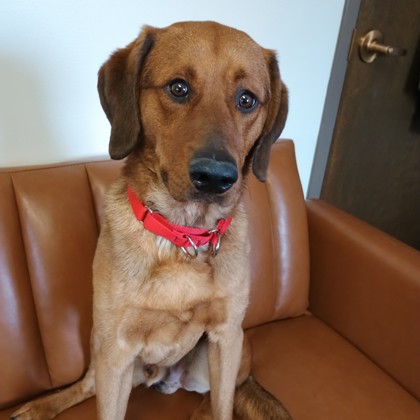 Valprex - Benchwarmer!