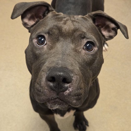 Celebrity - Benchwarmer!