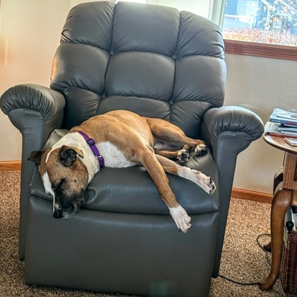 Magic - Volunteer Pick & Benchwarmer!