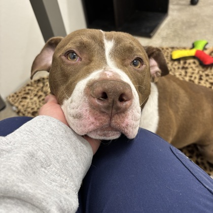 Maverick - Benchwarmer!