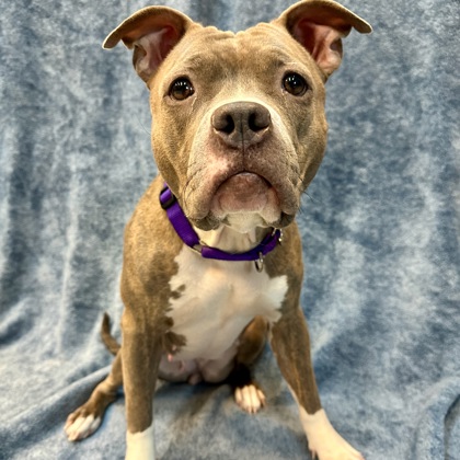 Rayma - Staff Pick & Benchwarmer!