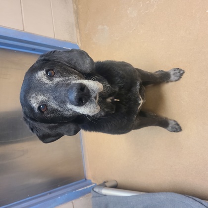 Badger - Required Couple!