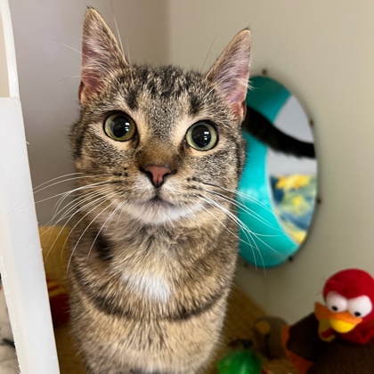 Minnie