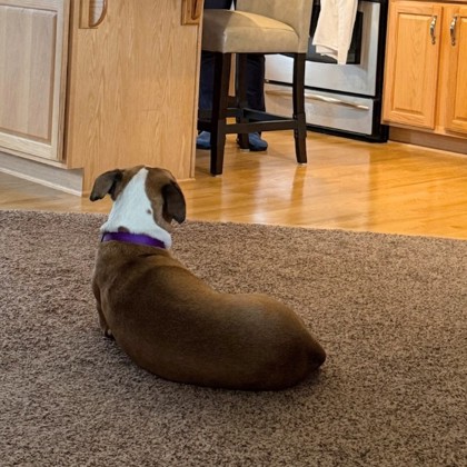 Magic - Volunteer Pick & Benchwarmer!