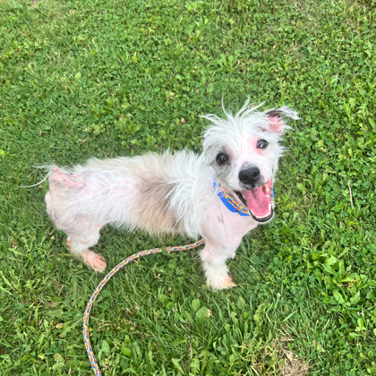 Coco