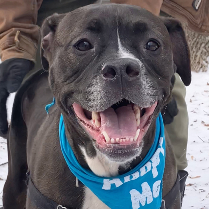 Winter - Video & Benchwarmer!