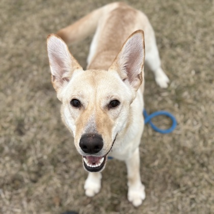 Sarafina - Benchwarmer!