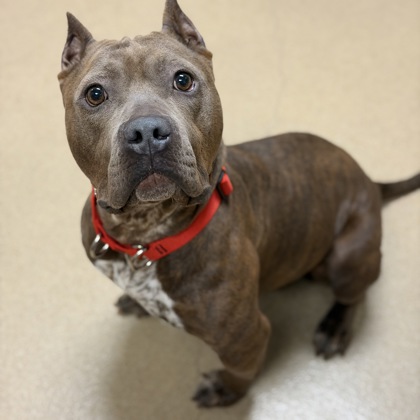 Sascha - Benchwarmer!