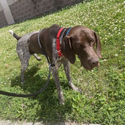 Max