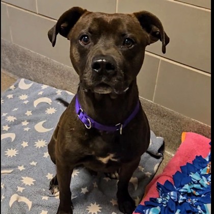 Momo - Video & Benchwarmer!