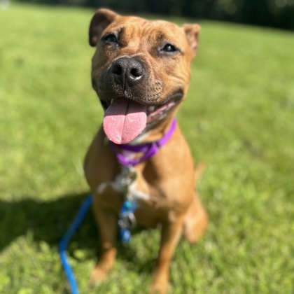 Colette - Benchwarmer!