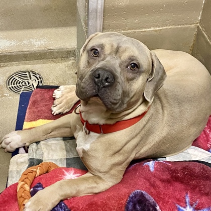 Bennet - Benchwarmer!