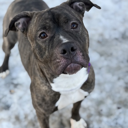 Zeus - Video & Benchwarmer!