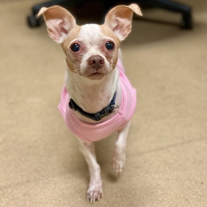 Bella