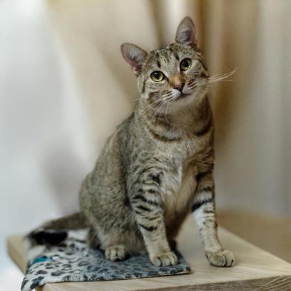 Tuna Turner Kershaw, adopt with Costner photo
