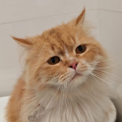 Jeremy Katter photo