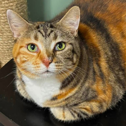 Maggie photo