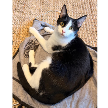 Scanner Kershaw - adopt with Barcode photo