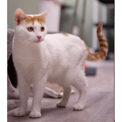 Grandma Kershaw photo