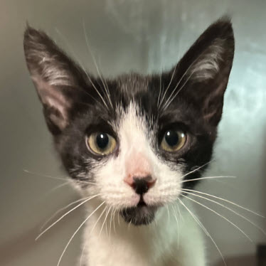 Coconut Clarkson photo