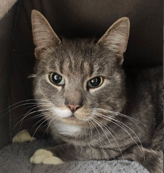 Walter Raymond photo