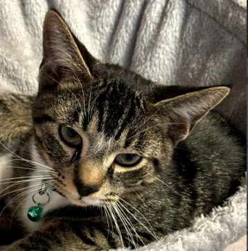 Sam Clarkson - must adopt with Abi photo