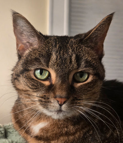 Ivy Bella Jones photo