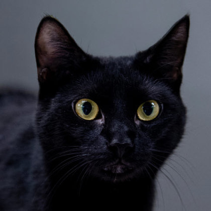 Jasper Kershaw photo