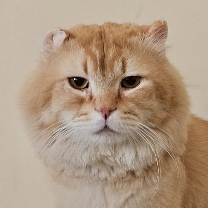 Bazuu Katter photo