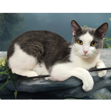 Jewel Westborough photo