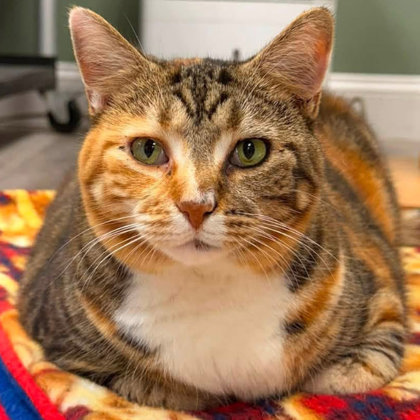 Maggie photo